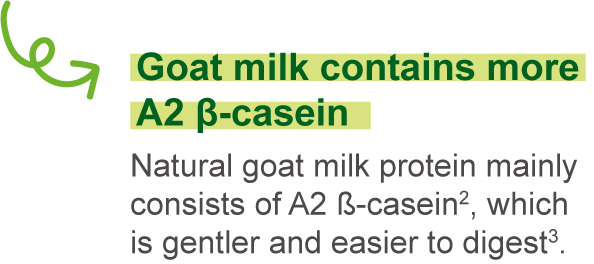 Goat milk contains more A2 β-casein.