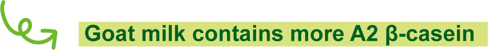 Goat milk contains more A2 β-casein.