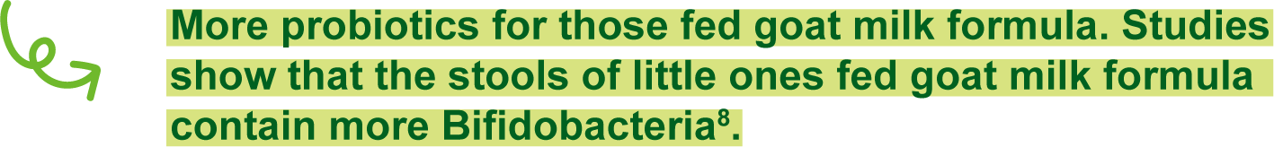 More probiotics for those fed goat milk formula. Studies show that the stools of little ones fed goat milk formula contain more Bifidobacteria.