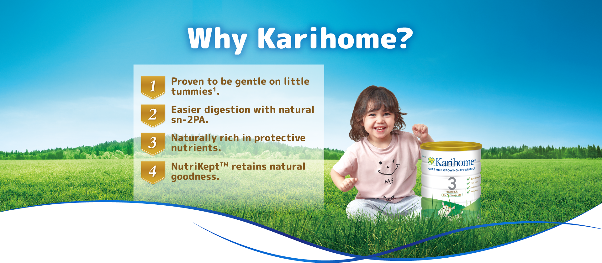 Why Karihome?