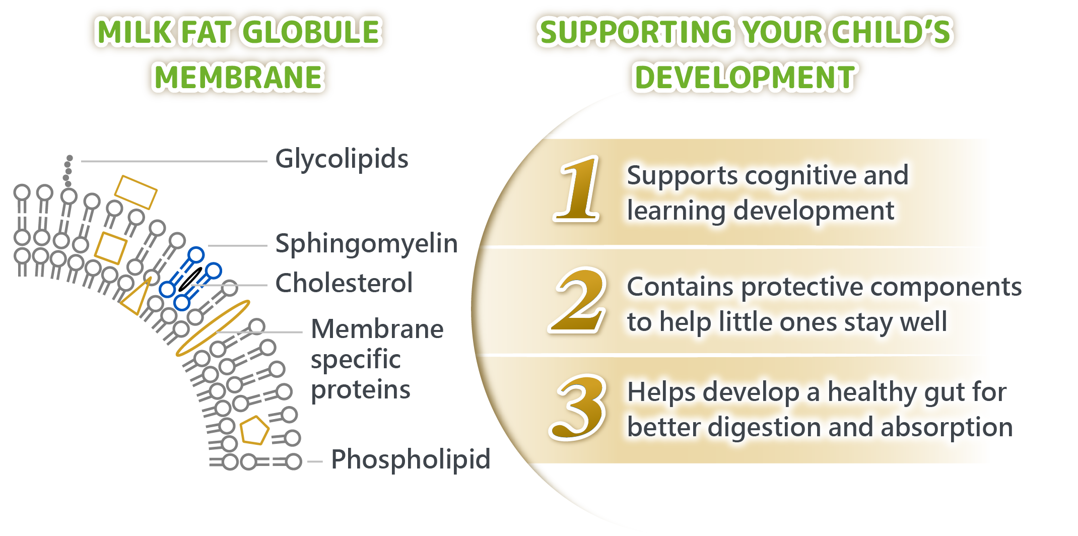 SUPPORTING YOUR CHILD’S DEVELOPMENT